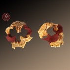 Cráneo Homo antecessor