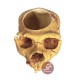 Cráneo maceta portalápices Atapuerca