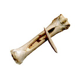 Bone & Ivory
